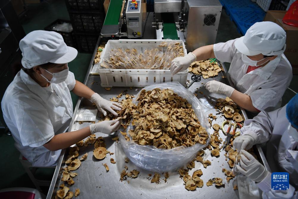 开心川麻自己上分